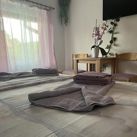 Pension Ttt Блед Экстерьер фото